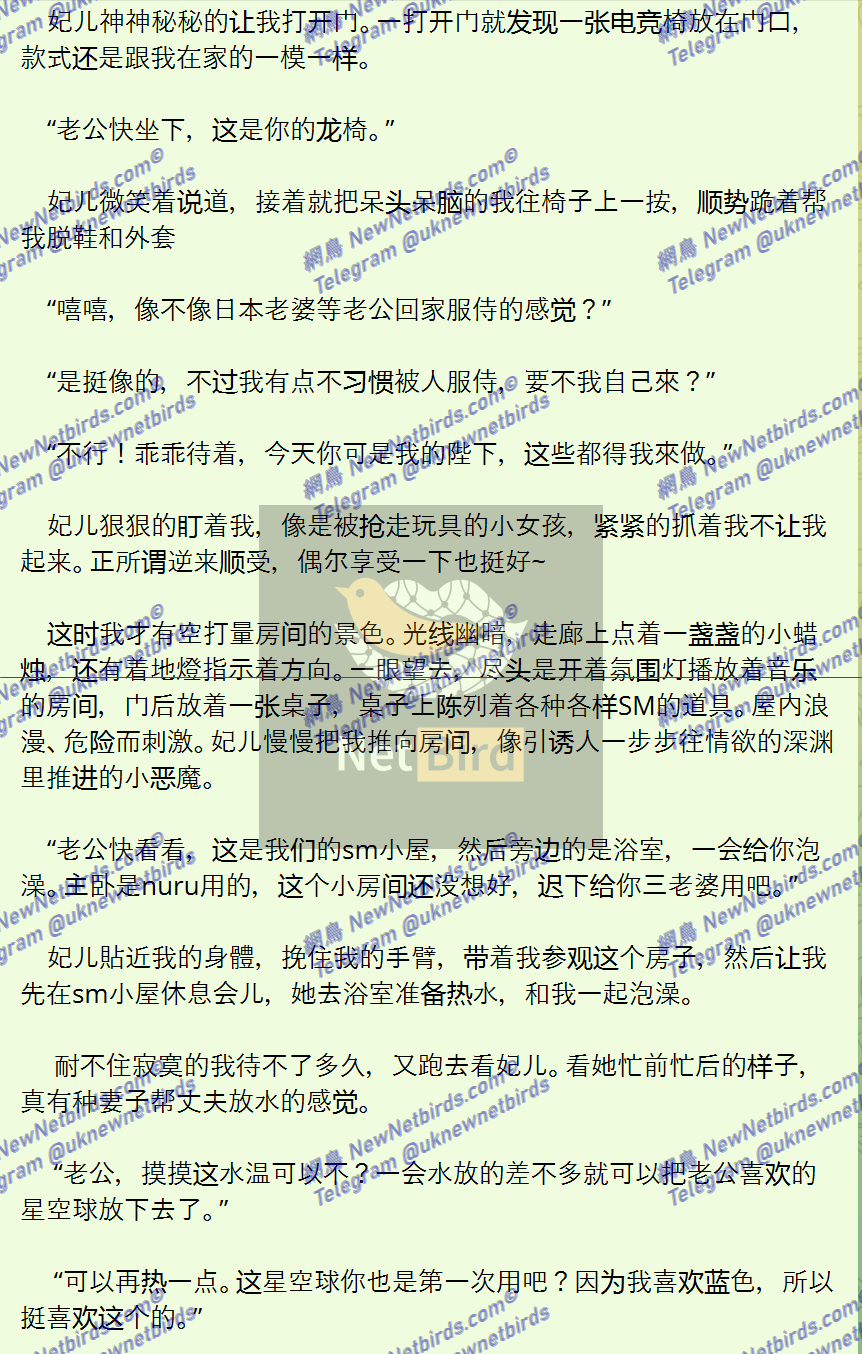 戰號 537 3.png